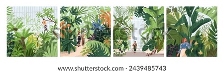 People in botanical garden, greenhouses, conservatory parks, square cards. Characters among green leaf plants, natural glasshouses, urban jungles with greenery. Flat graphic vector illustrations
