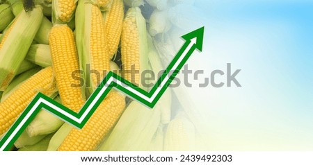 Increase in prices of food, grain and corn. Free space for text. Food banner design