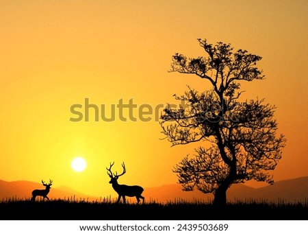 Dark silhouettes of deer and trees on a beautiful evening