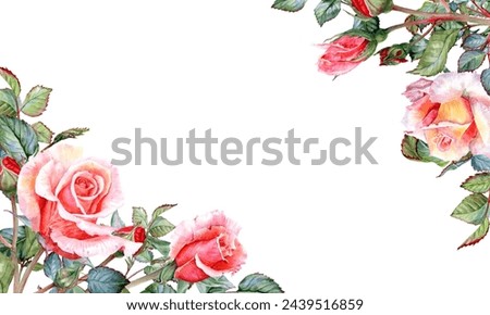 Hand-painted watercolor pink and cream roses, buds, leaves, bouquets with gypsophila