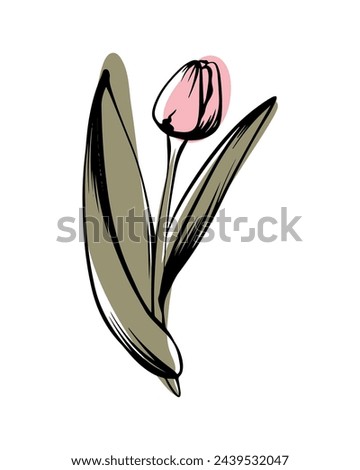 Tulip in sketch style with abstract color shapes, hand-drawn isolated on white background. Floral sketch for print designs, signage, flower shops, logos in black and white.