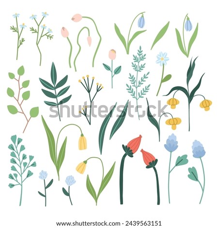 Set of spring flowers and leaves, roses, tulips, greenery, twigs