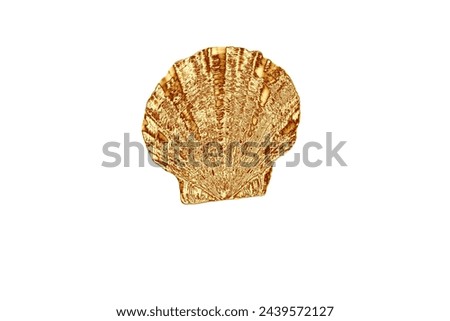 Golden seashell isolated on white