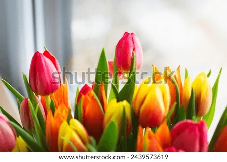 photo of a bright bouquet of tulips