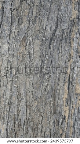 Old tree texture. Bark pattern, For background wood work, Bark of brown hardwood, thick bark hardwood, residential house wood. nature, tree, bark, hardwood, trunk, tree , tree trunk close up texture Royalty-Free Stock Photo #2439573797