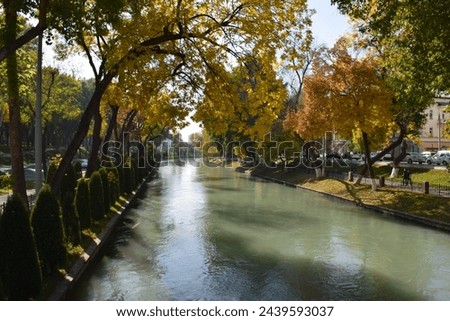Beautiful Canal with Green and Pale Trees in a city of Uzbekistan . A beautiful sunny day with clear Blue Sky. All Original Pictures without any Editing Work.