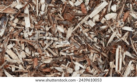 Sawdust, twigs to retain moisture in the soil - gardening Royalty-Free Stock Photo #2439610053