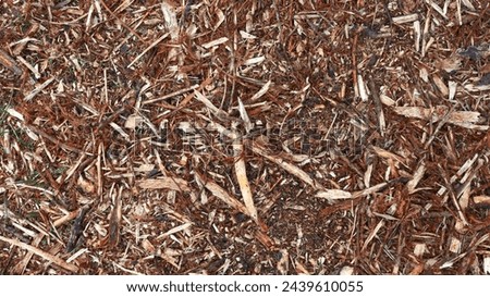 Background of sawdust and twigs poured onto the ground to retain moisture in the soil Royalty-Free Stock Photo #2439610055