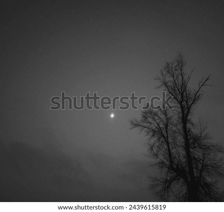 Black and white moonrise with a tree
