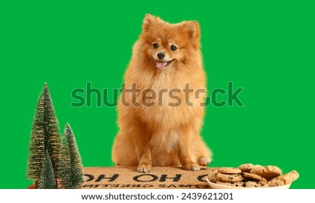 Discover endless creative potential with our collection of dog green screen photos,perfect for adding playful pups to your projects. From vibrant summer scenes to adorable poses,our highquality images
