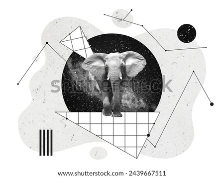 Animal In Space Creative Art Collage. Black And White Illustration. Artwork Poster Banner Wallpaper Copy Space Design Wild Line Geometric Grid Star Cosmos Fly Milky Way Detail Postcard Placard Trend