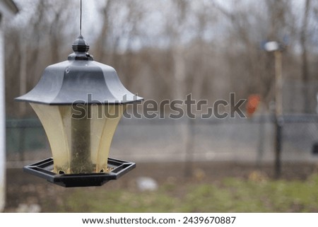 amazing view captured in the picture with bird feeder