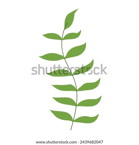 Tropical plant leaf vector illustration isolated on white background