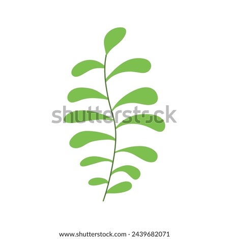 Tropical plant leaf vector illustration isolated on white background