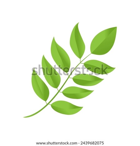 leaf nature art vector illustration isolated on white background