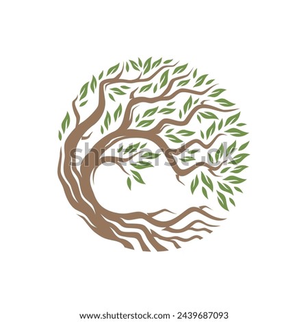 logo tree root with round shape