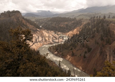 View of the Yellowstone Grand Canyon and the Yellowstone River. The mountains, the forest and the river flow are clearly visible. The photo was taken in cloudy weather.