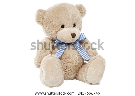 Big curly brown teddy bear sits