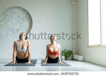 yoga, Asian woman wearing yoga clothes practicing yoga, Asia group of women exercising healthy lifestyle in fitness studio. Sport activity, gymnastics or ballet dancing class.