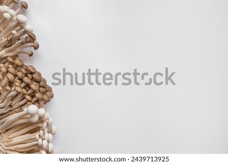 Assorted edible mushrooms on a white background with copy space, perfect for culinary concepts and recipe layouts