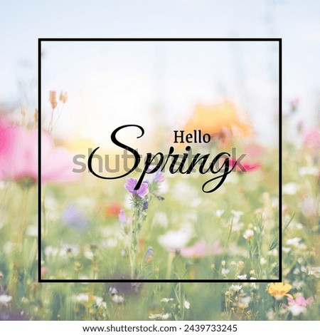 hello spring text sign, beautiful pink tulips on white rustic wooden background flat lay. flowers in soft morning sunlight with space for text.hello spring.