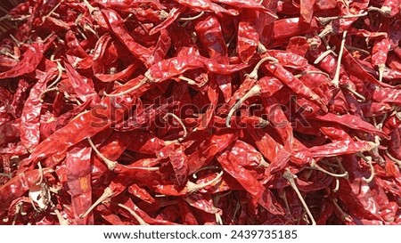 Close-up of dried fiery red chili peppers basking in the afternoon sun. Glossy finish with intense heat. For spicy food background, fiery wallpaper, Red Hot Chili Peppers, Spicy Food, Food Photography