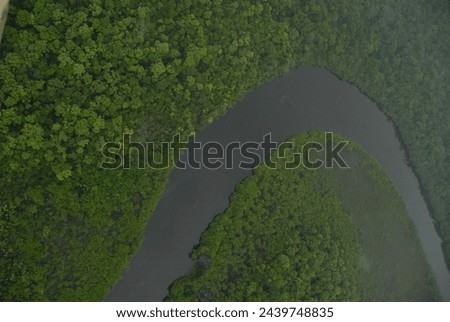 single bend in a river with an riel view of the jungle rain forest canopy in Toledo District, Southern Belize, Central America with tree tops in lush green taken from a light aircraft