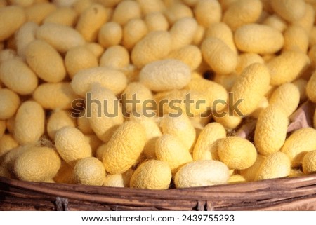 Silkworm cocoons in bamboo basket