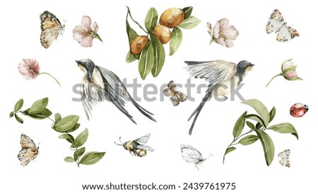 Watercolor floral set. Hand painted flowers, greenery, green leaves, leaf, birds, butterfly, spring insects isolated on white background. Botanical illustration for design, print or background