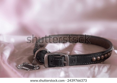 Dog collar on pink satin material symbolizing love.