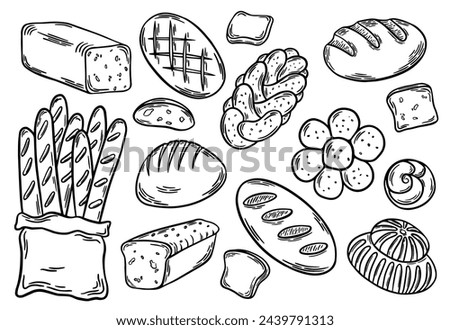 Different types of bread outline. Bread engraving, line art vector illustration. Wheat products, baked goods, bakery, pastry Royalty-Free Stock Photo #2439791313