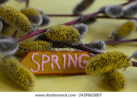 close-up of a sign with the word spring written in pink paint lies on a yellow background surrounded by branches of a blooming willow.