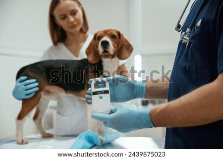 White modern device for searching tags. Two veterinarians are working with beagle dog in clinic.