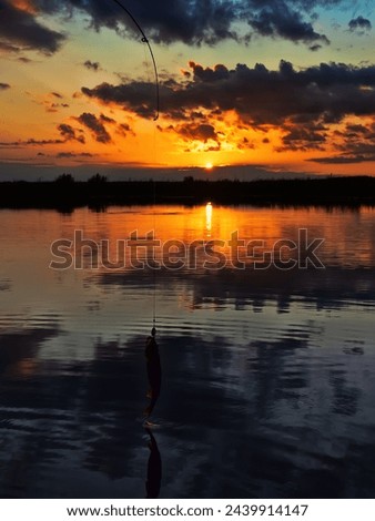 Fishing at sunset. Catching predatory fish on spinning. Sunset colors on the water surface, sunny path from the low sun. Perch caught on yellow spoonbait Royalty-Free Stock Photo #2439914147