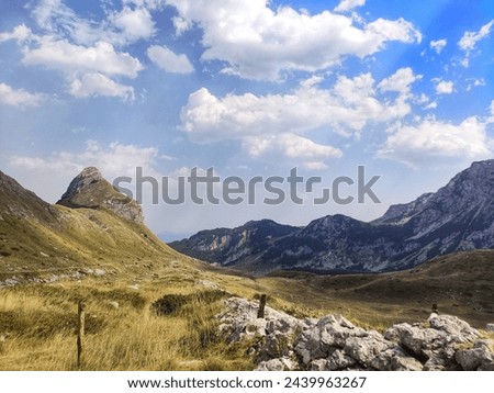 High mountain ranges covered with green grass and a valley on a sunny summer day, desktop background