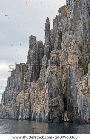 Rocky Nesting Cliffs on a High Arctic Coast on Alkefjellet in the Svalbard Islands Royalty-Free Stock Photo #2439963363