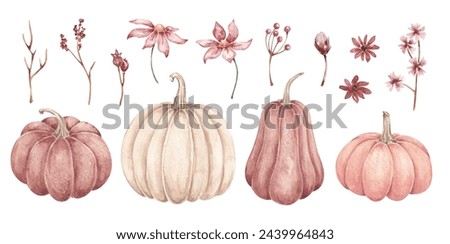Pumpkins, autumn plants clip art hand drawn by watercolor. Thanksgiving, Halloween traditional symbols and fall objects. Autumn nature