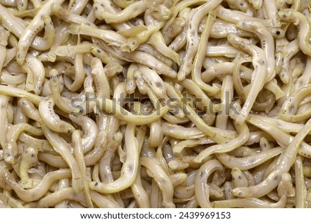 simmered ice goby, a Japanese seafood delicacy Royalty-Free Stock Photo #2439969153