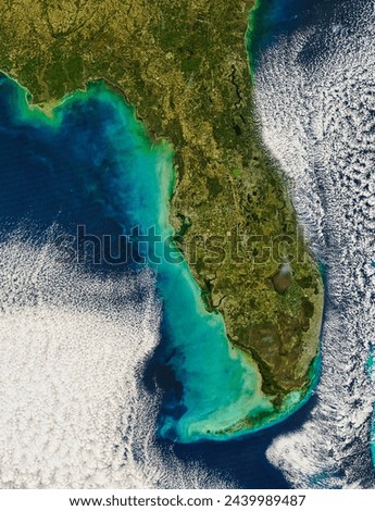 Resuspended sediment off the west coast of Florida. Resuspended sediment off the west coast of Florida. Elements of this image furnished by NASA.