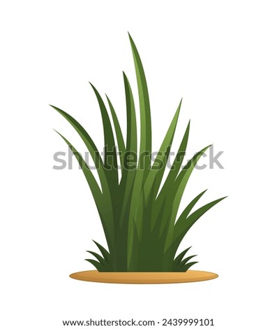 Image of a jungle tree. An illustration of evergreen jungle vegetation that combines colorful elements in an exciting design. Vector illustration.