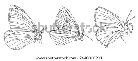 Butterfly black ink line art illustrationset. Insect butterfly for coloring page, tattoo silhouette, hand drawn stickers. Winged gorgeous animal. Vector illustration, isolate on white background.