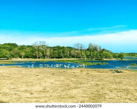 As the gentle currents of the river weave their way through the landscape, a flock of birds gracefully glides above, their wings casting fleeting shadows upon the water below. Royalty-Free Stock Photo #2440002079