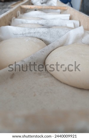 Doughs prepared for pita and bread in the bakery