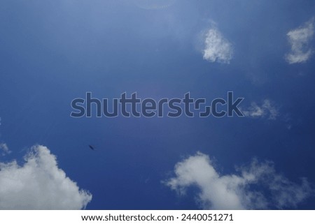 Stunning blue sky images with clouds
Feel the freedom! High-quality photos perfect for stock photo websites, travel agencies, and anyone who loves the beauty of nature. Download now!