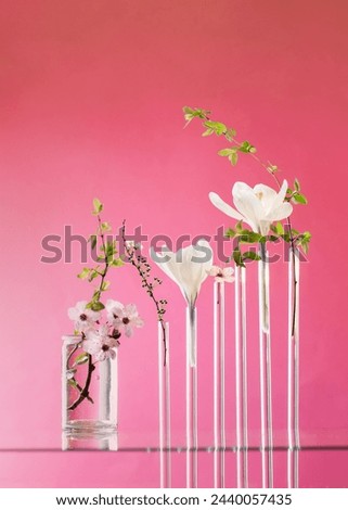 spring white  flowers in glass vase on pink background