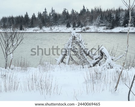 Winter landscape, lake and forest on the background
