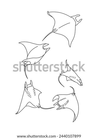 vector isolated stingray outline design
