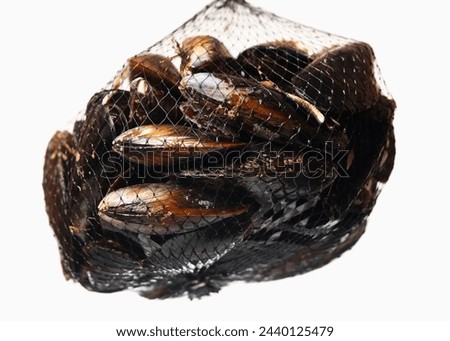 A picture of a net of mussels over white background