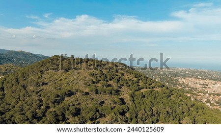 Nicolosi, Sicily, Italy. Volcanic craters overgrown with forest on the slopes of Mount Etna, Aerial View  