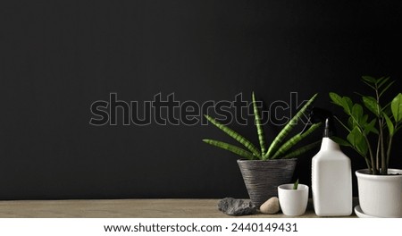 Composition of sanseveria plants and succulents in pots on wooden table. Big plant and small plant. Unique plant growth structure. Preparation to water and fertilize plants. Dark background